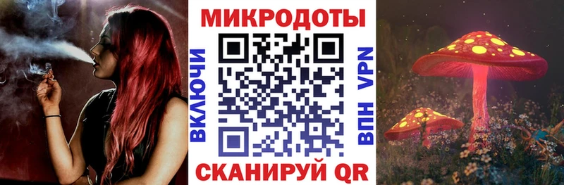 Купить закладки  Приволжский  Псилоцибиновые грибы MAGIC MUSHROOMS 